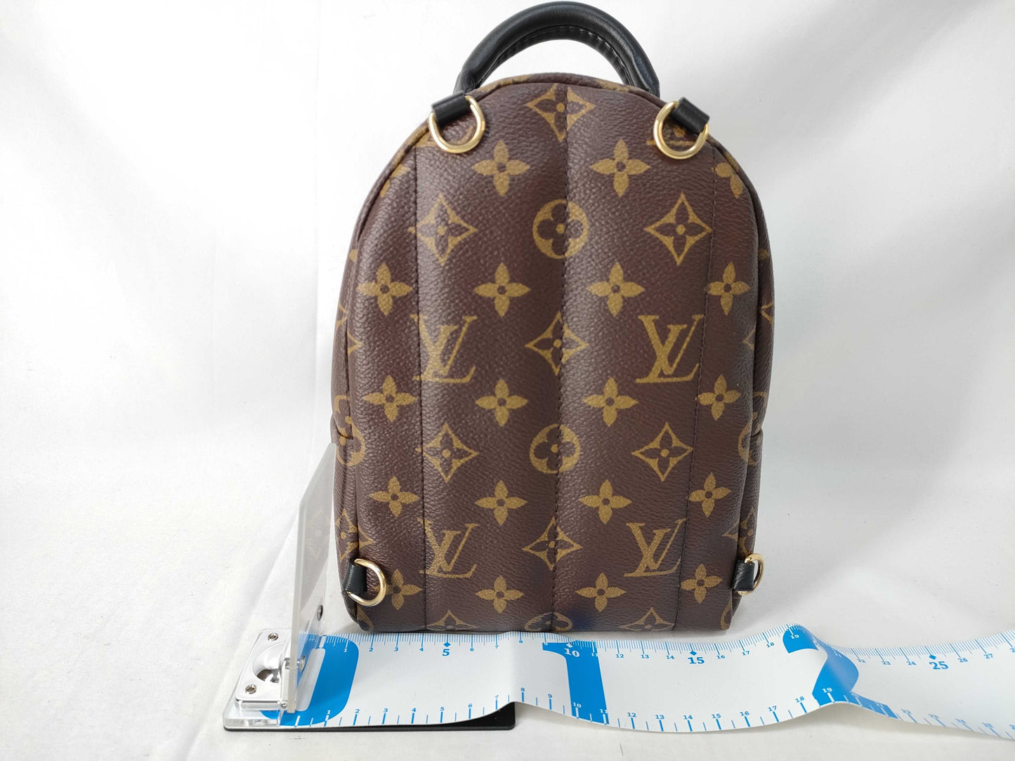 LOUIS VUITTON Monogram Palm Springs Backpack Bag Rucksack