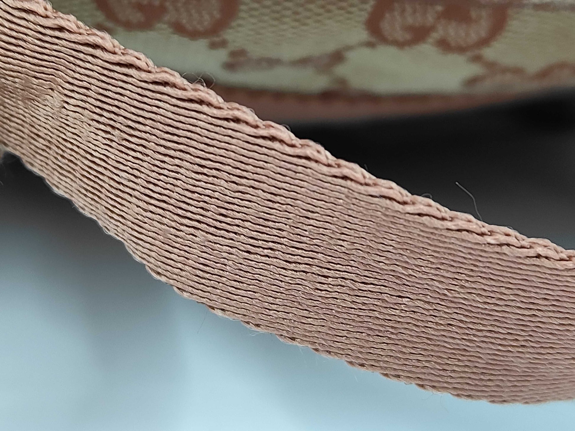 GUCCI GG Canvas Backpack