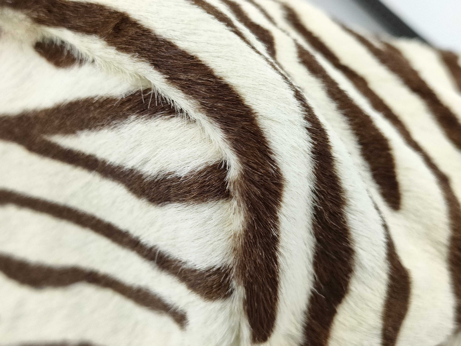 PRADA Prada Harako Accessory Pouch Zebra Handbag