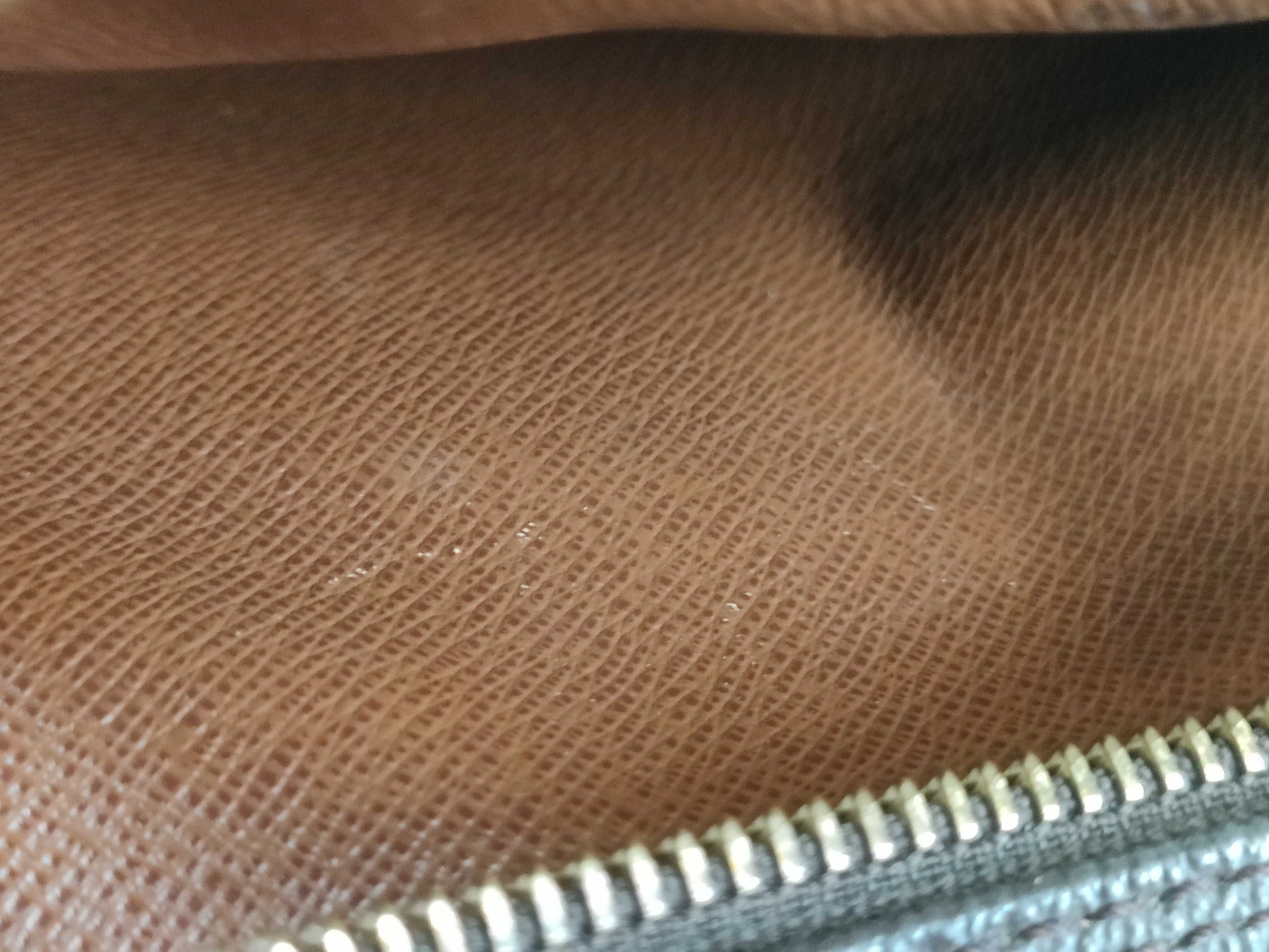 LOUIS VUITTON M45254 Monogram Amazon Shoulder Bag
