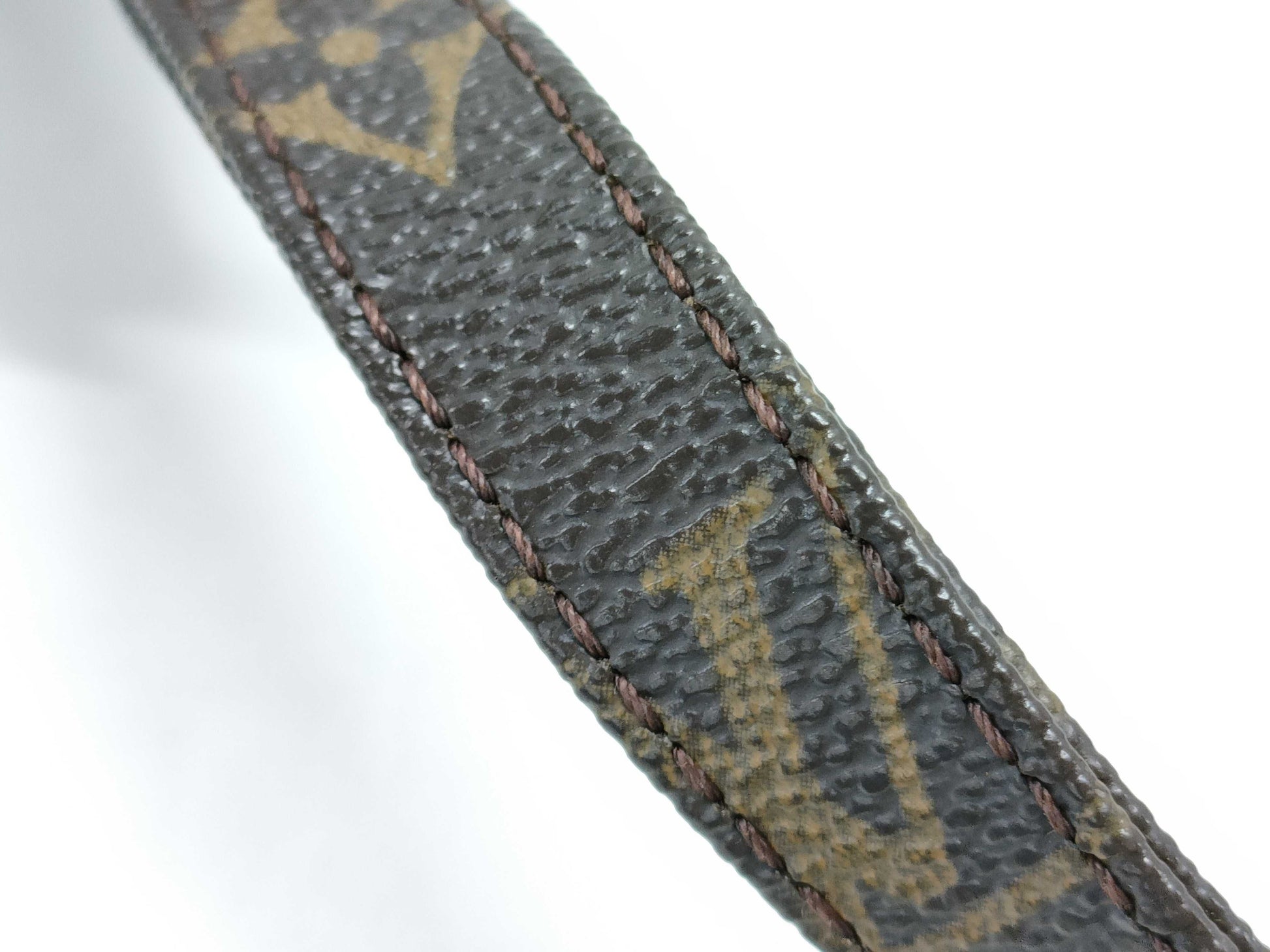 LOUIS VUITTON Monogram M45266 Danube Shoulder Bag