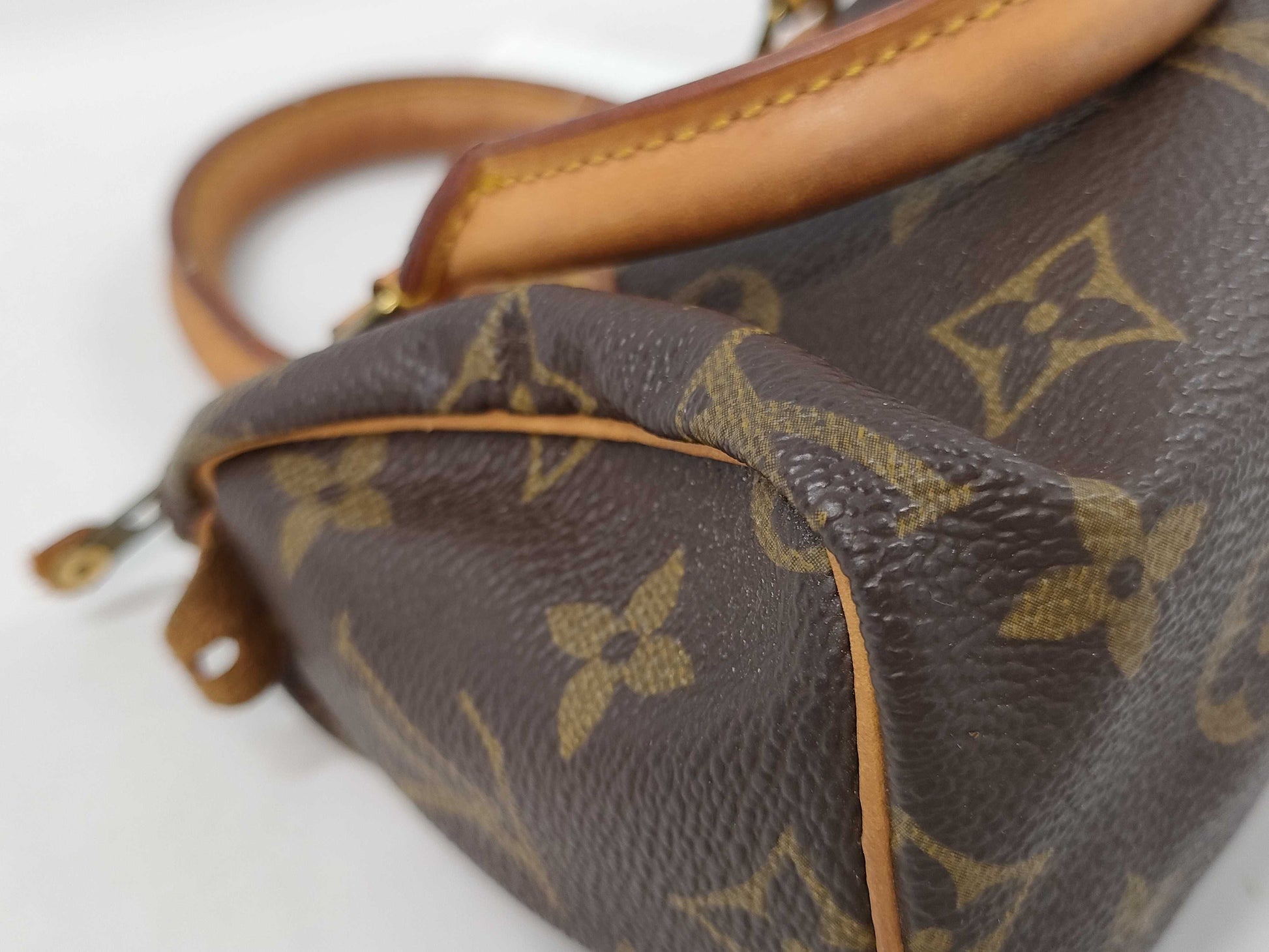 LOUIS VUITTON Monogram Mini Speedy Boston Bag
