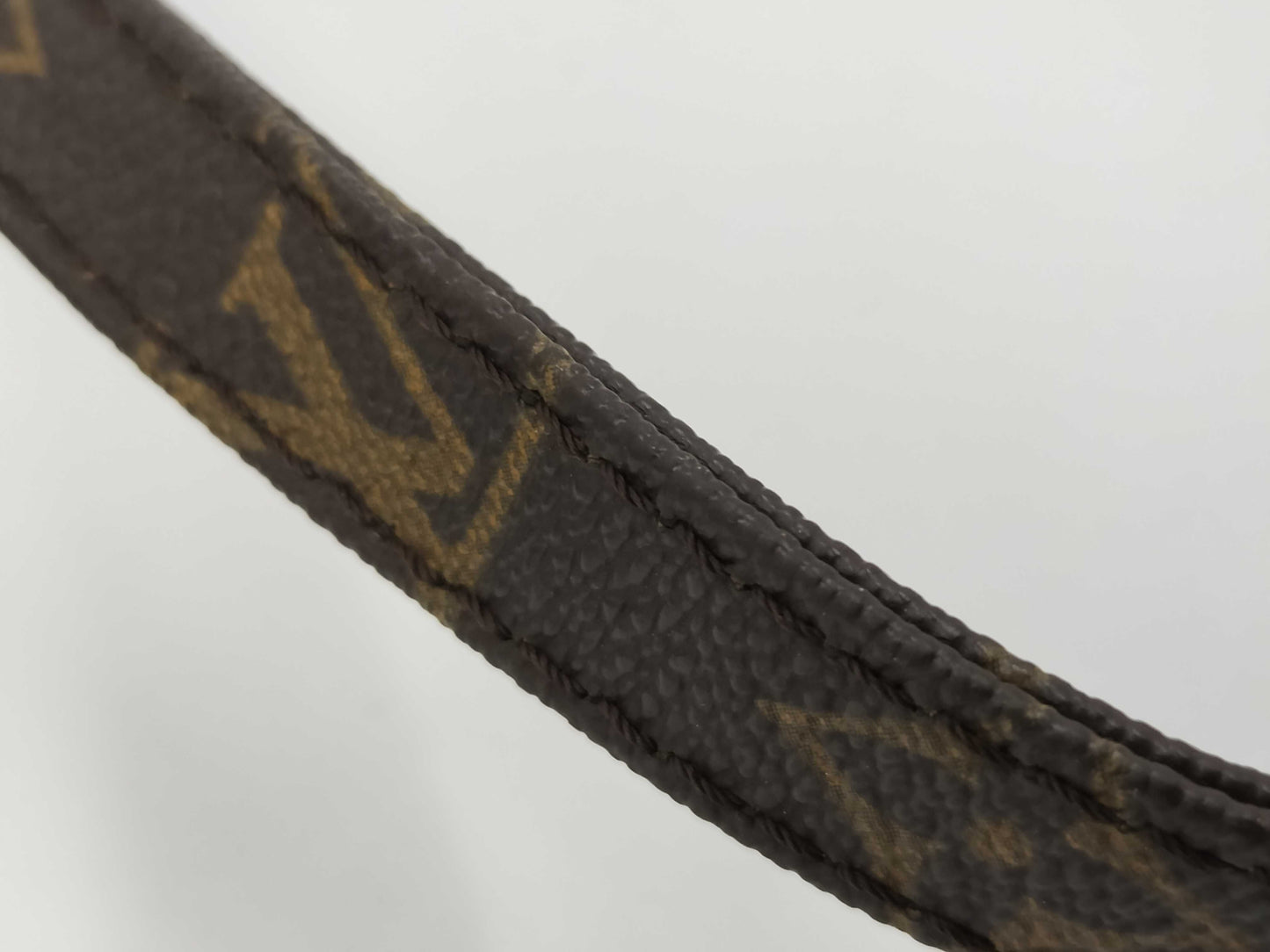 LOUIS VUITTON Monogram M45266 Danube Shoulder Bag