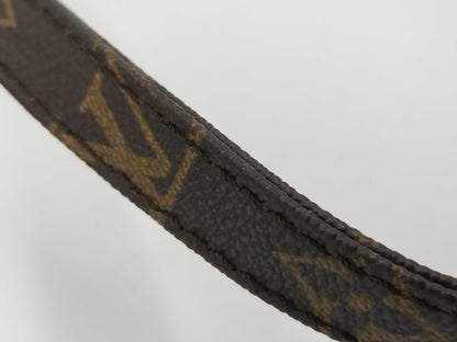 LOUIS VUITTON Monogram M45266 Danube Shoulder Bag