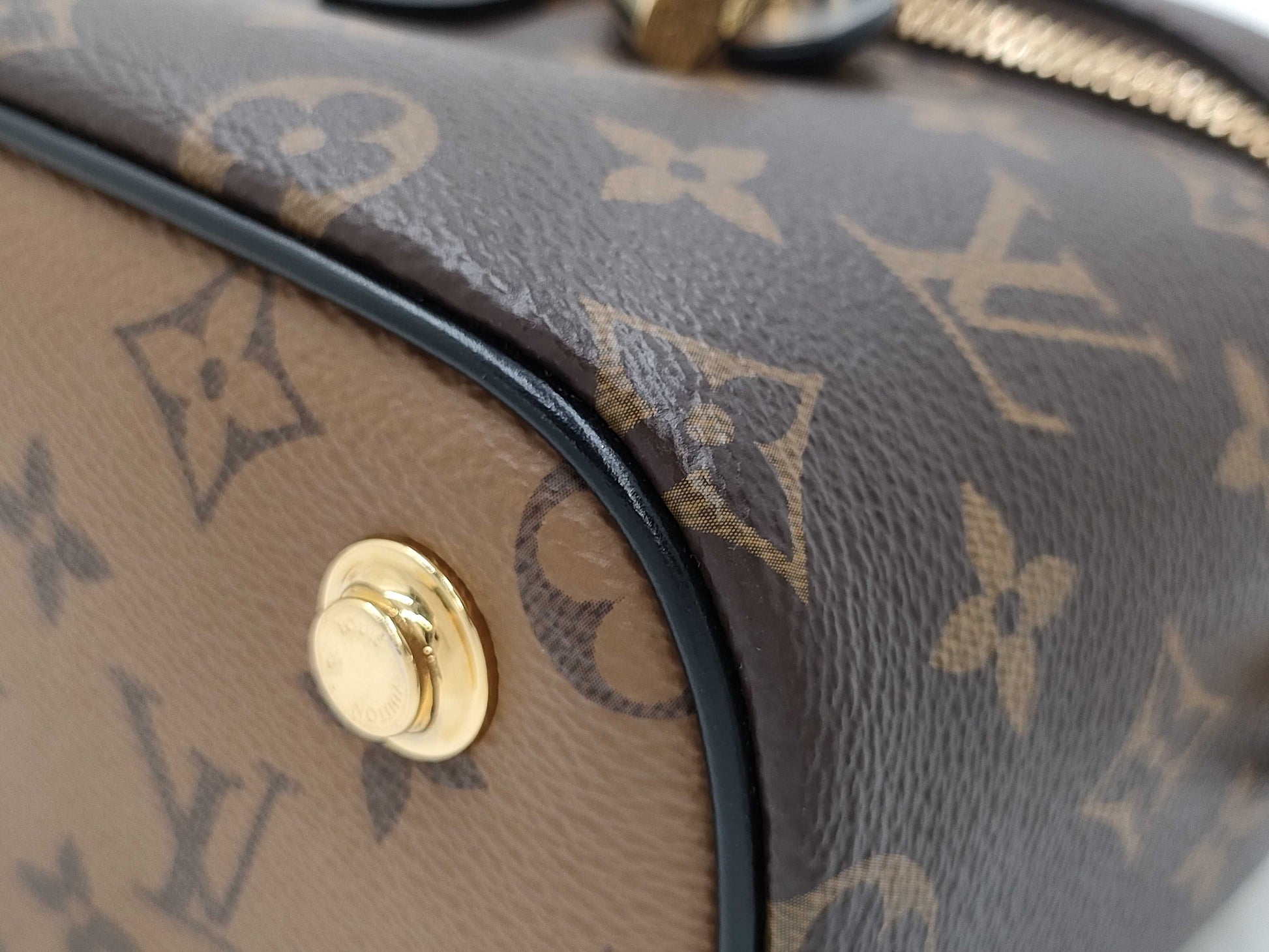 LOUIS VUITTON Monogram Monogram Reverse Vanity NV M45165 Bag