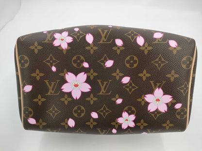 LOUIS VUITTON Speedy 25 Handbag M14174
