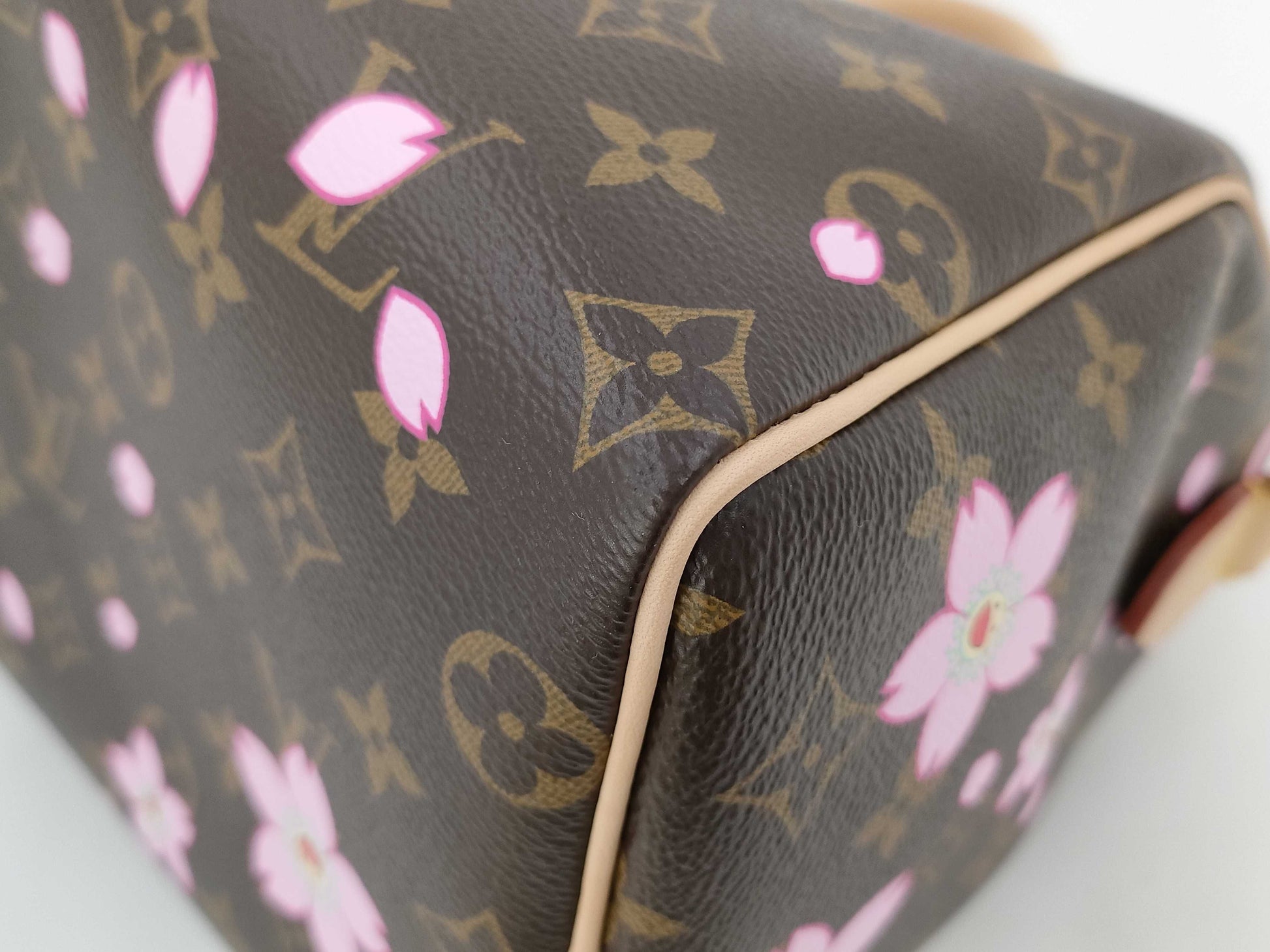 LOUIS VUITTON Speedy 25 Handbag M14174