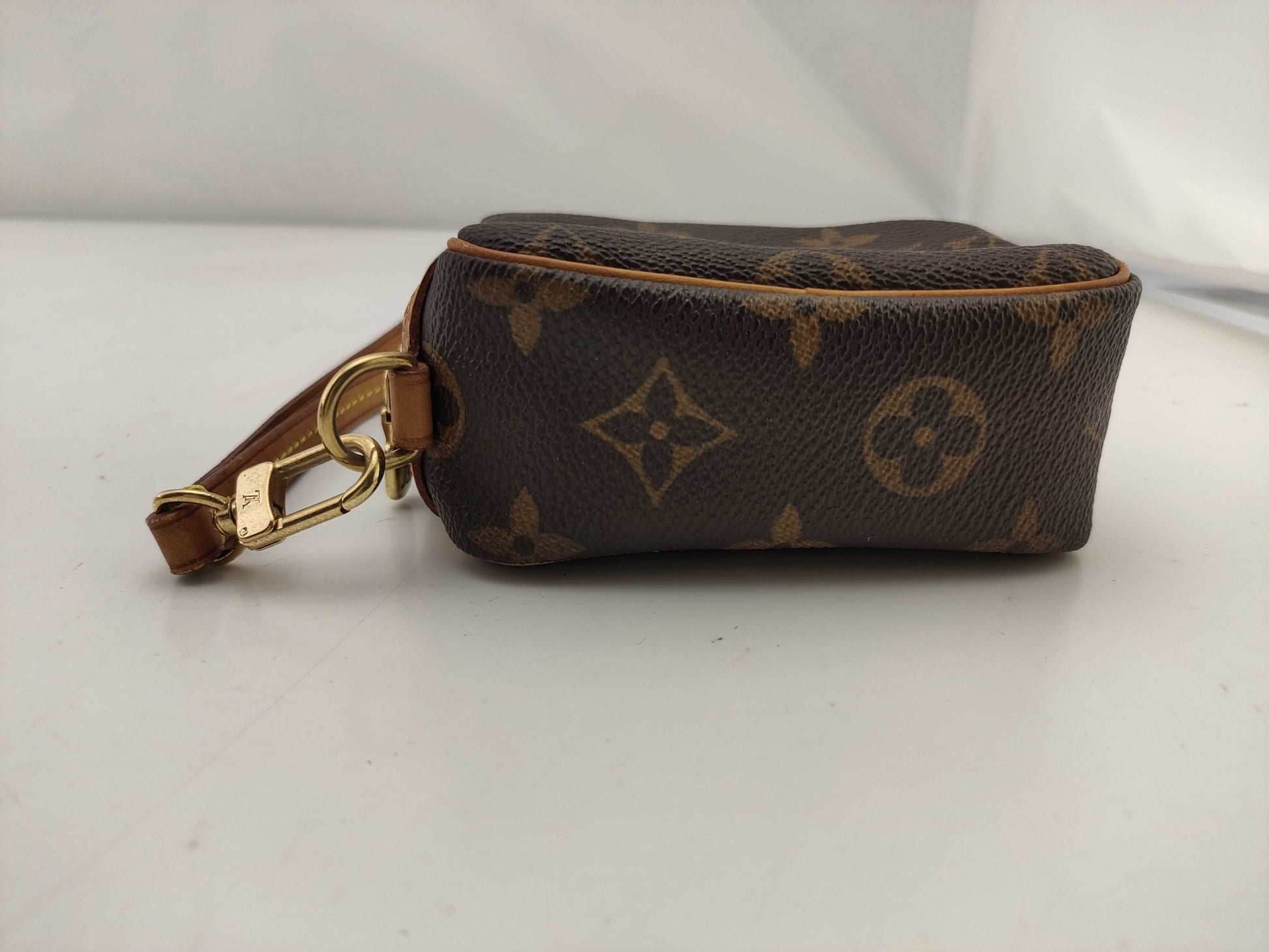 LOUIS VUITTON Monogram Truth Wapiti Pouch