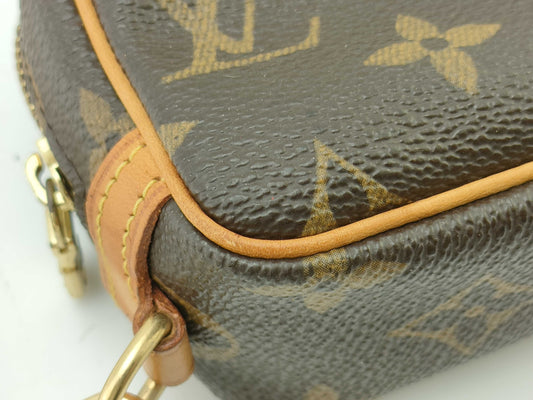 LOUIS VUITTON Monogram Truth Wapiti Pouch