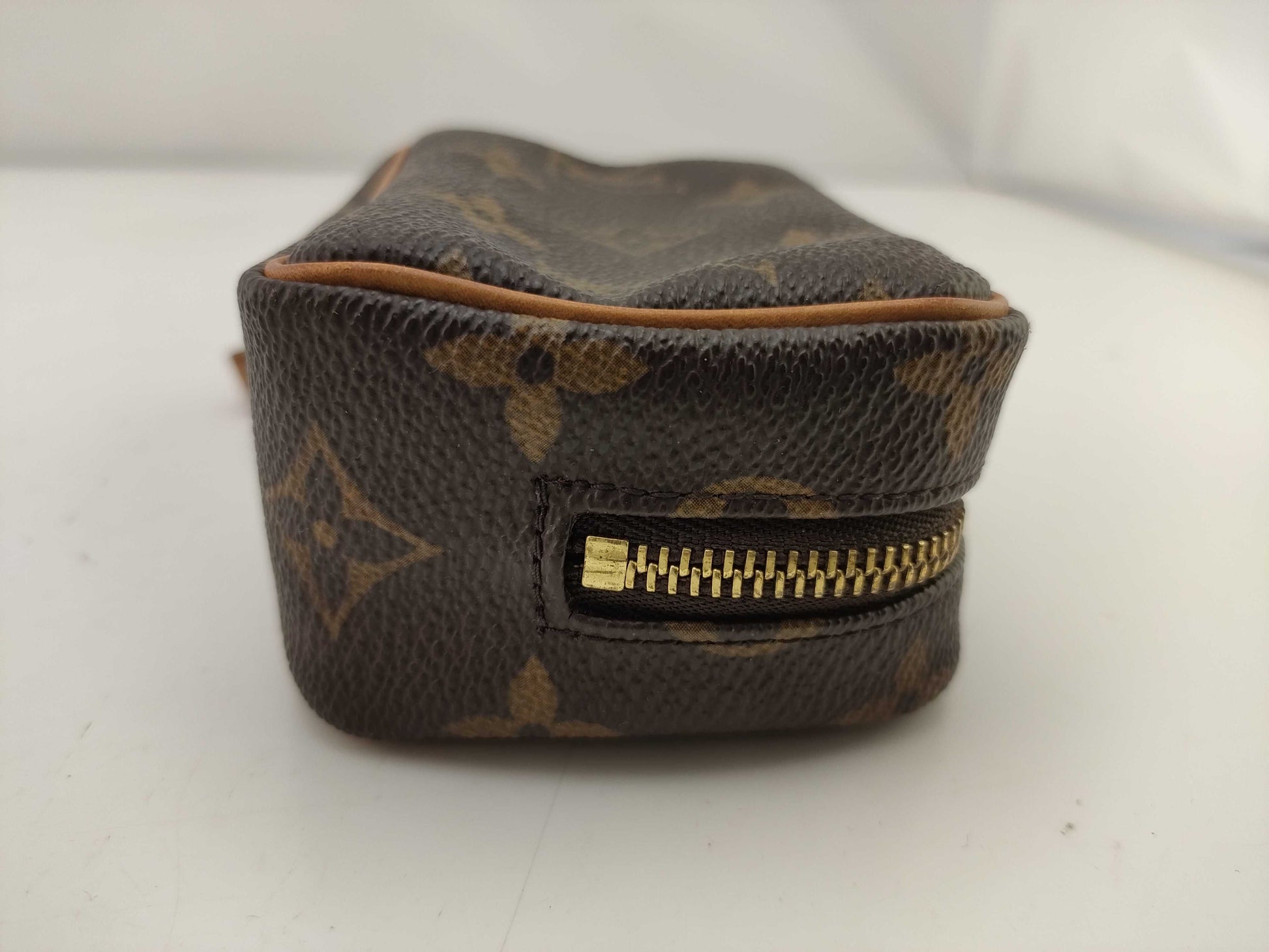 LOUIS VUITTON Monogram Truth Wapiti Pouch