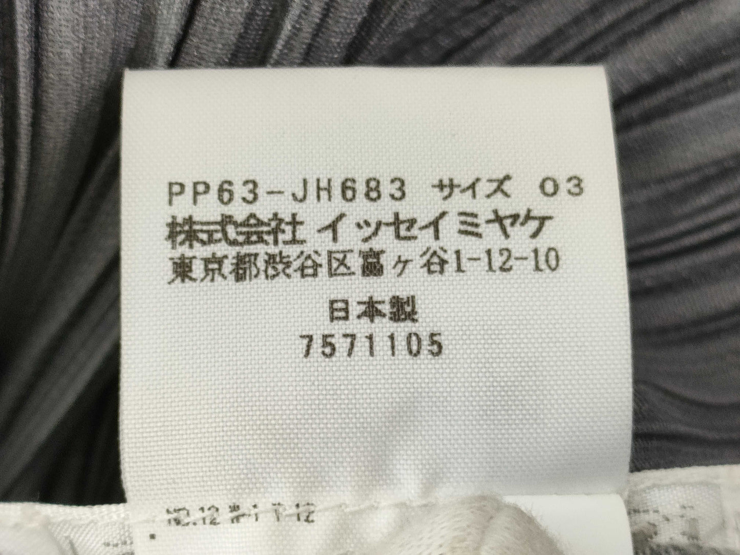 ISSEY MIYAKE Pleated Dress