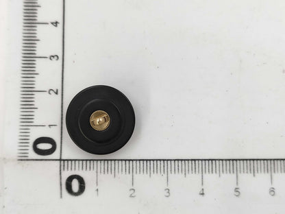 CHANEL Button Lion Black*Gold 1 Piece Other Accessories