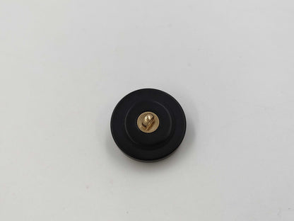 CHANEL Button Lion Black*Gold 1 Piece Other Accessories