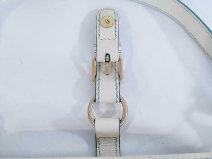 CELINE Triomphe Canvas Shoulder Bag Shoulder Bag