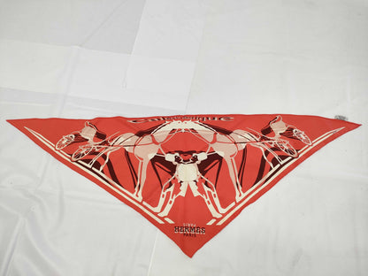 HERMES Triangle Scarf Scarf