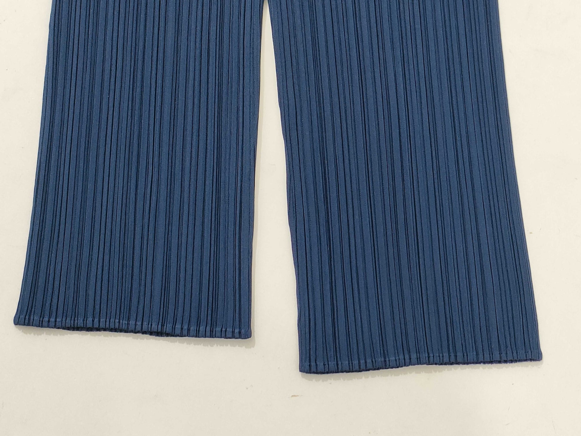 ISSEY MIYAKE Pleats Please Set/Navy Other Apparel