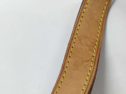 LOUIS VUITTON Vernis Amazon Shoulder Bag