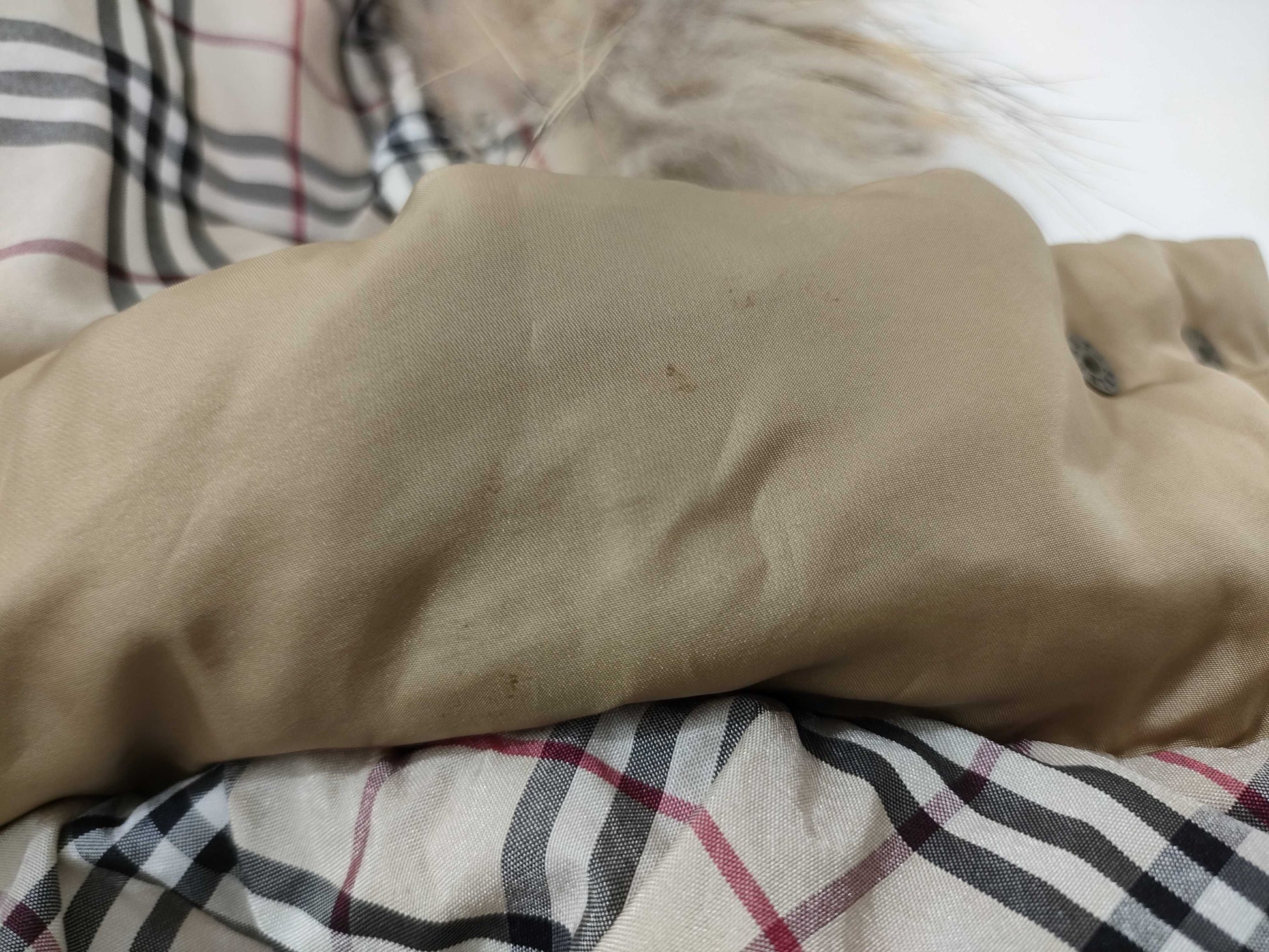 Burberry Down Jacket Beige/38 Jacket