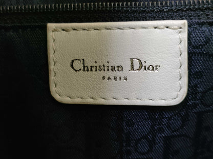 Dior Trotter Canvas x Rubber Light Blue Shoulder Bag