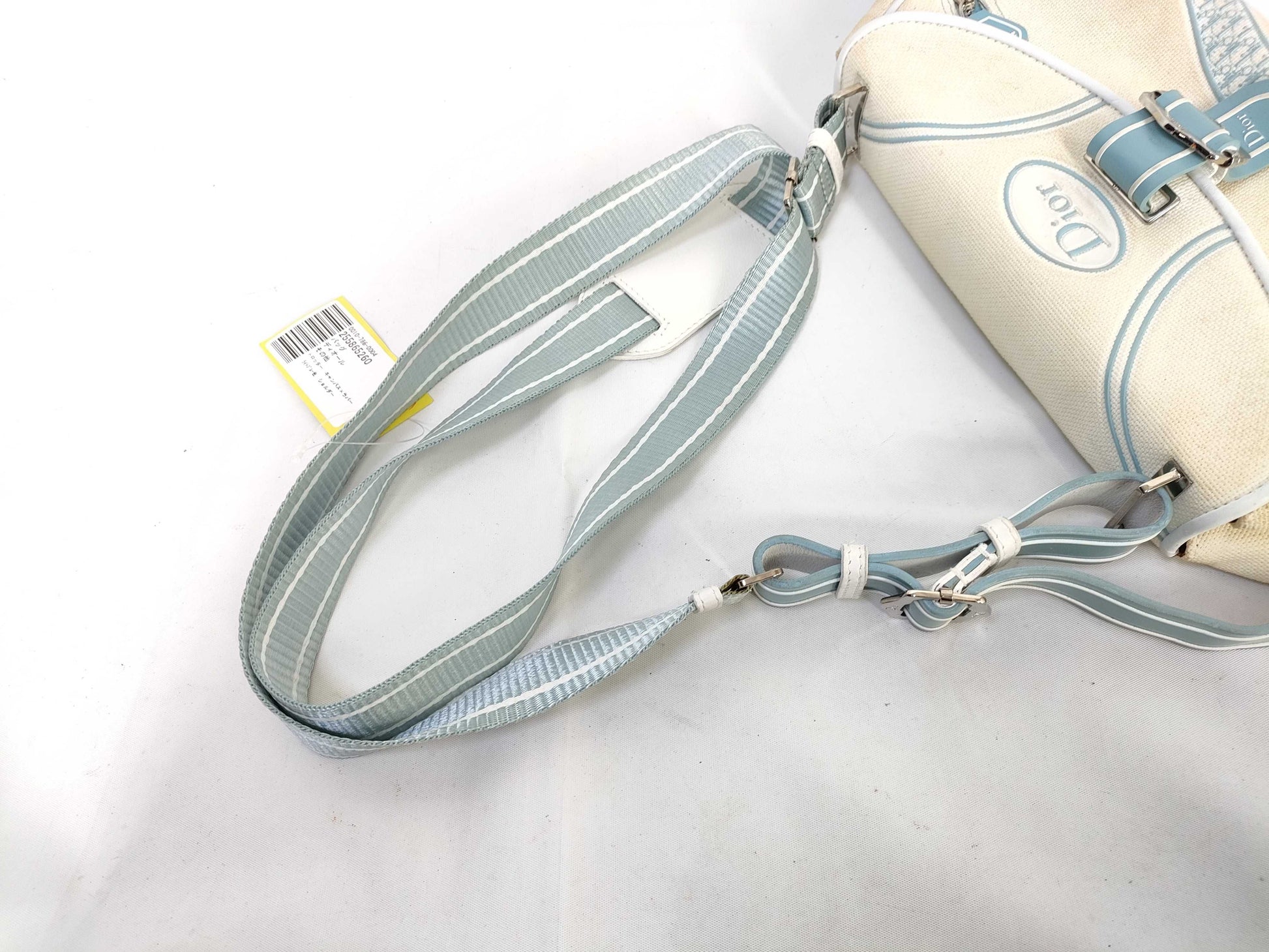 Dior Trotter Canvas x Rubber Light Blue Shoulder Bag
