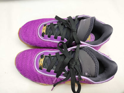 NIKE NIKE/LEBRON XX SE GS FD0207-500 Sneakers