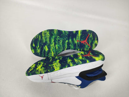 NIKE Jordan FQ1306 Sneakers