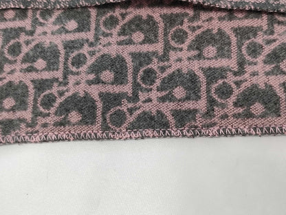 Dior Trotter Stole Scarf 