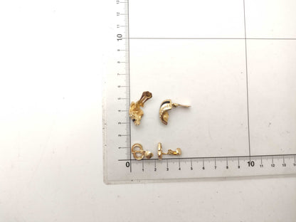 Dior earrings 2-piece set earrings