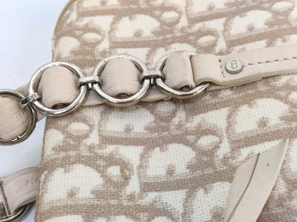 Dior Trotter Handbag Handbag