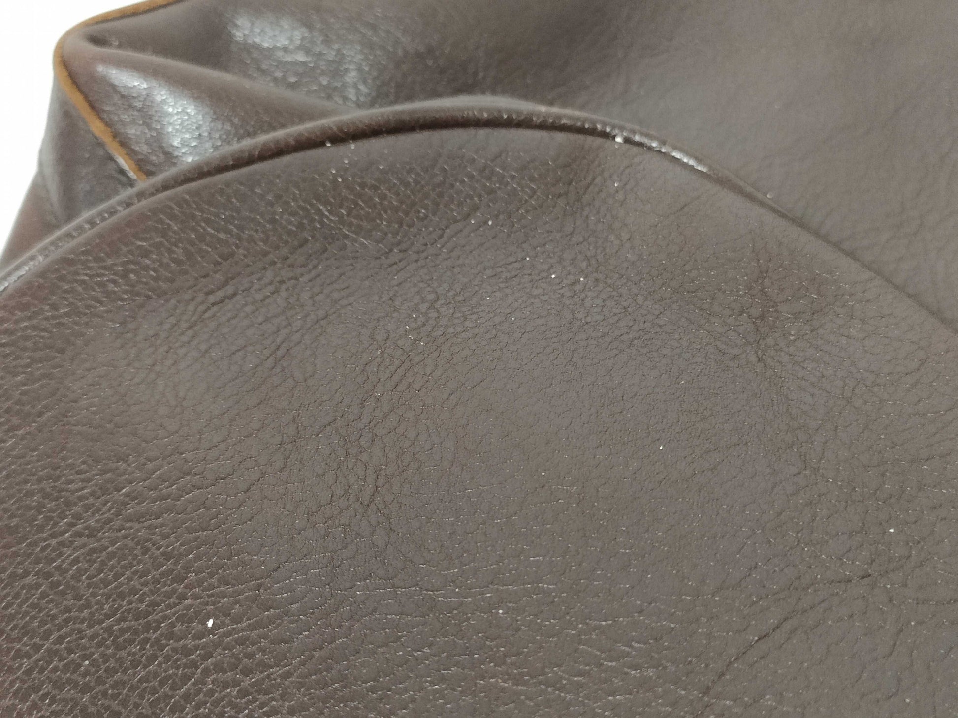 COACH Signature Samantha Il Bisonte Longchamp Bag