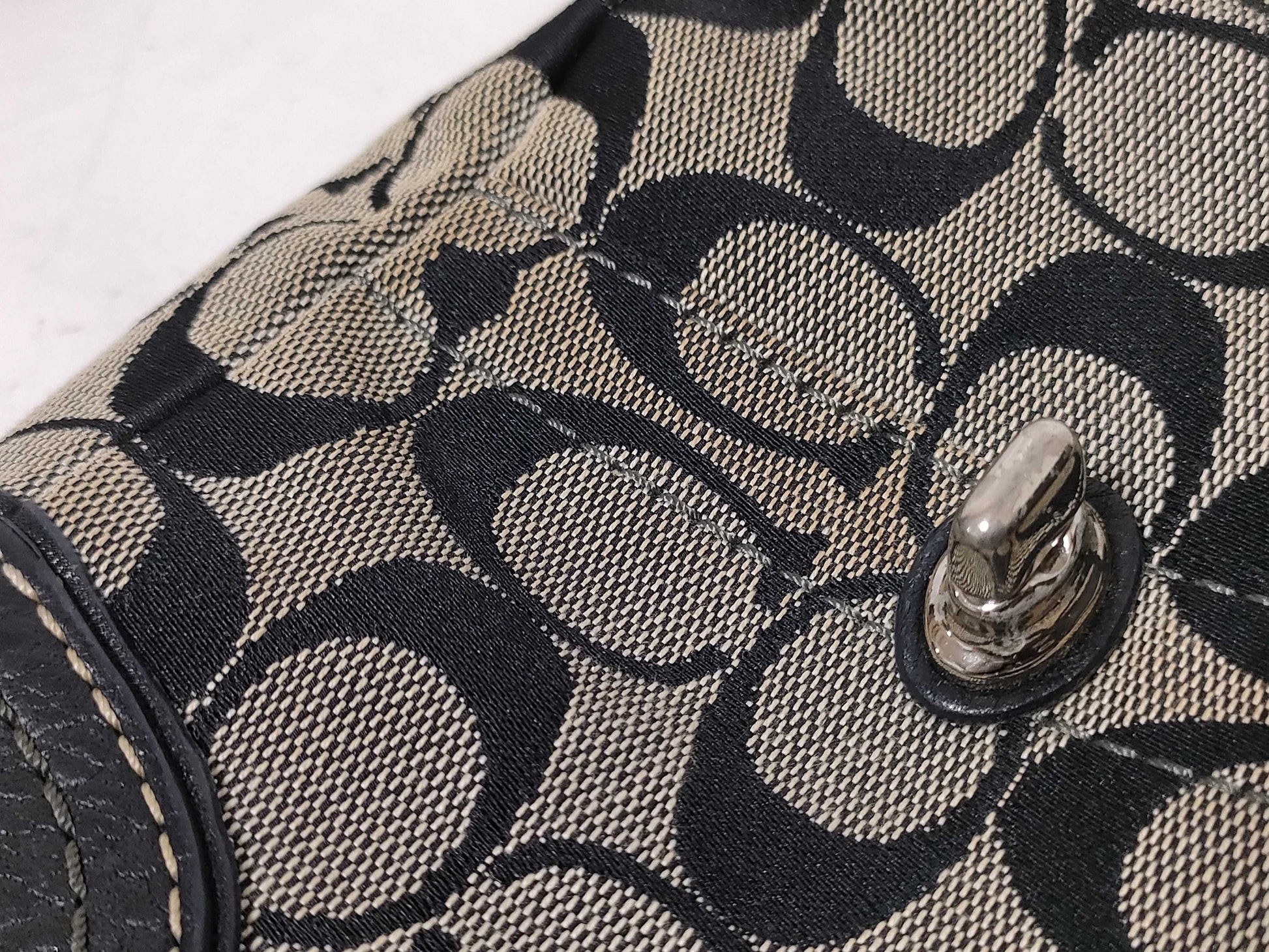 COACH Signature Samantha Il Bisonte Longchamp Bag