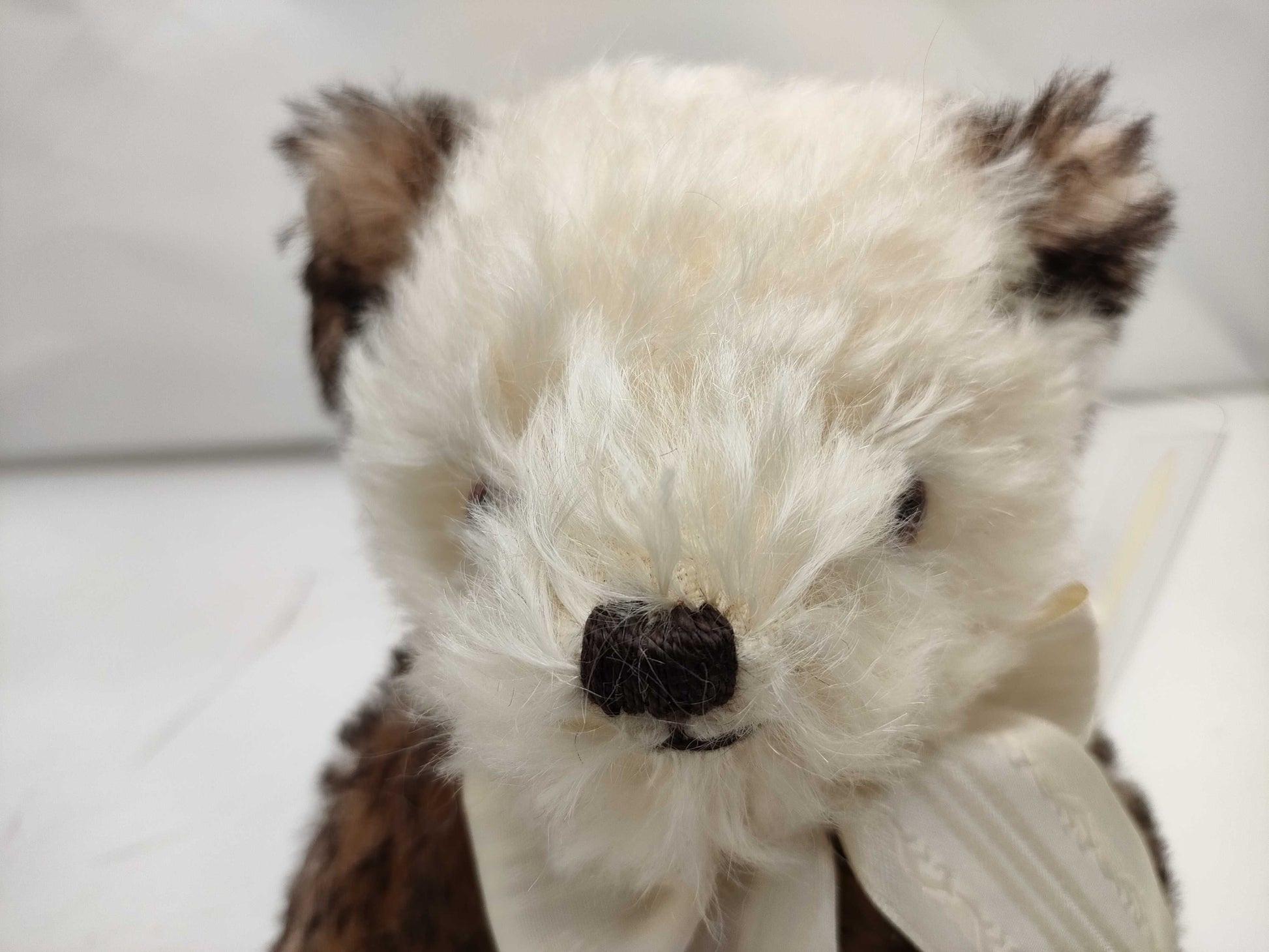Dachshund 2008 Teddy Bear 211/300 Plush Toy 