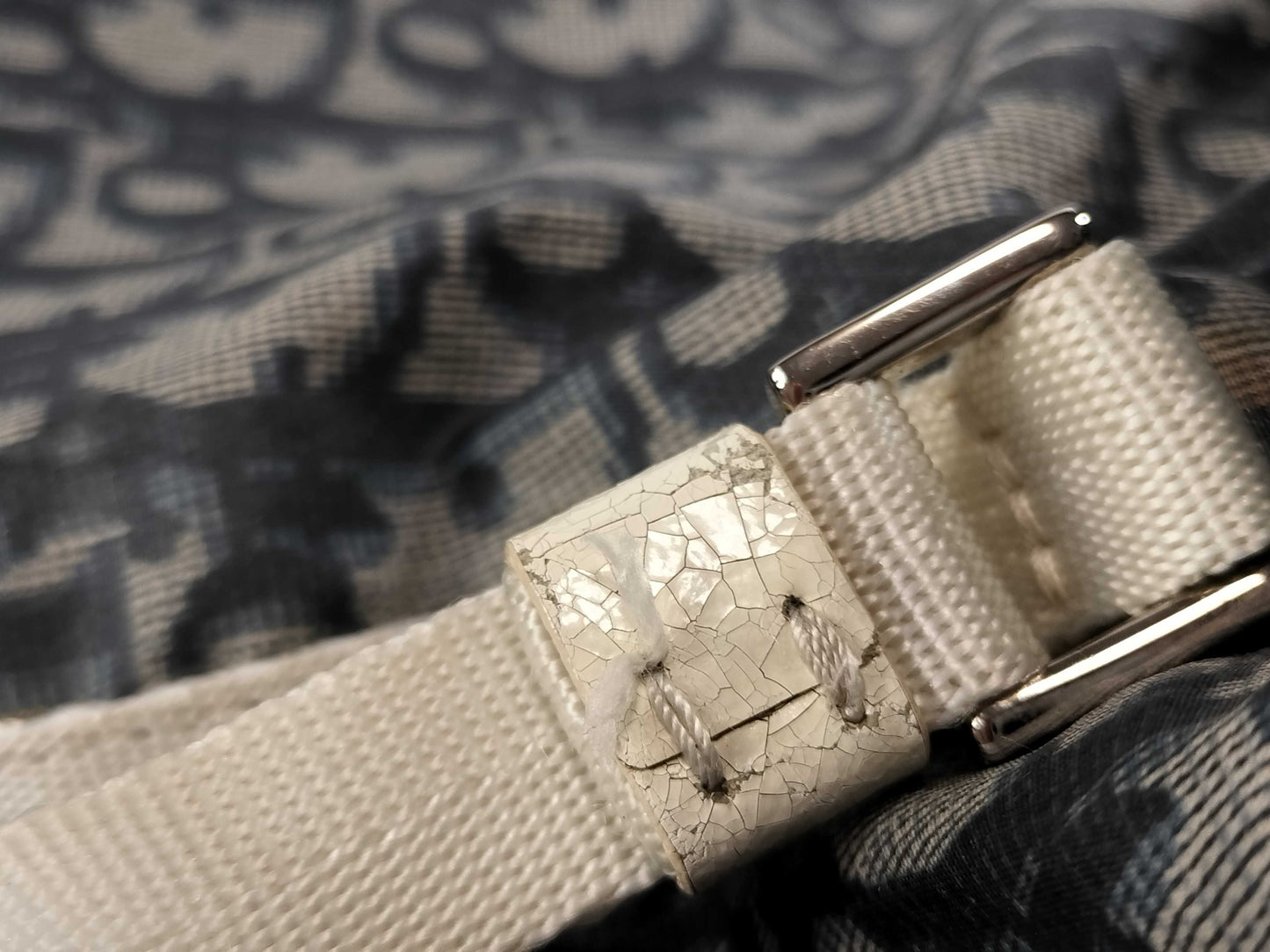 Dior Trotter Nylon Eco Tote Bag