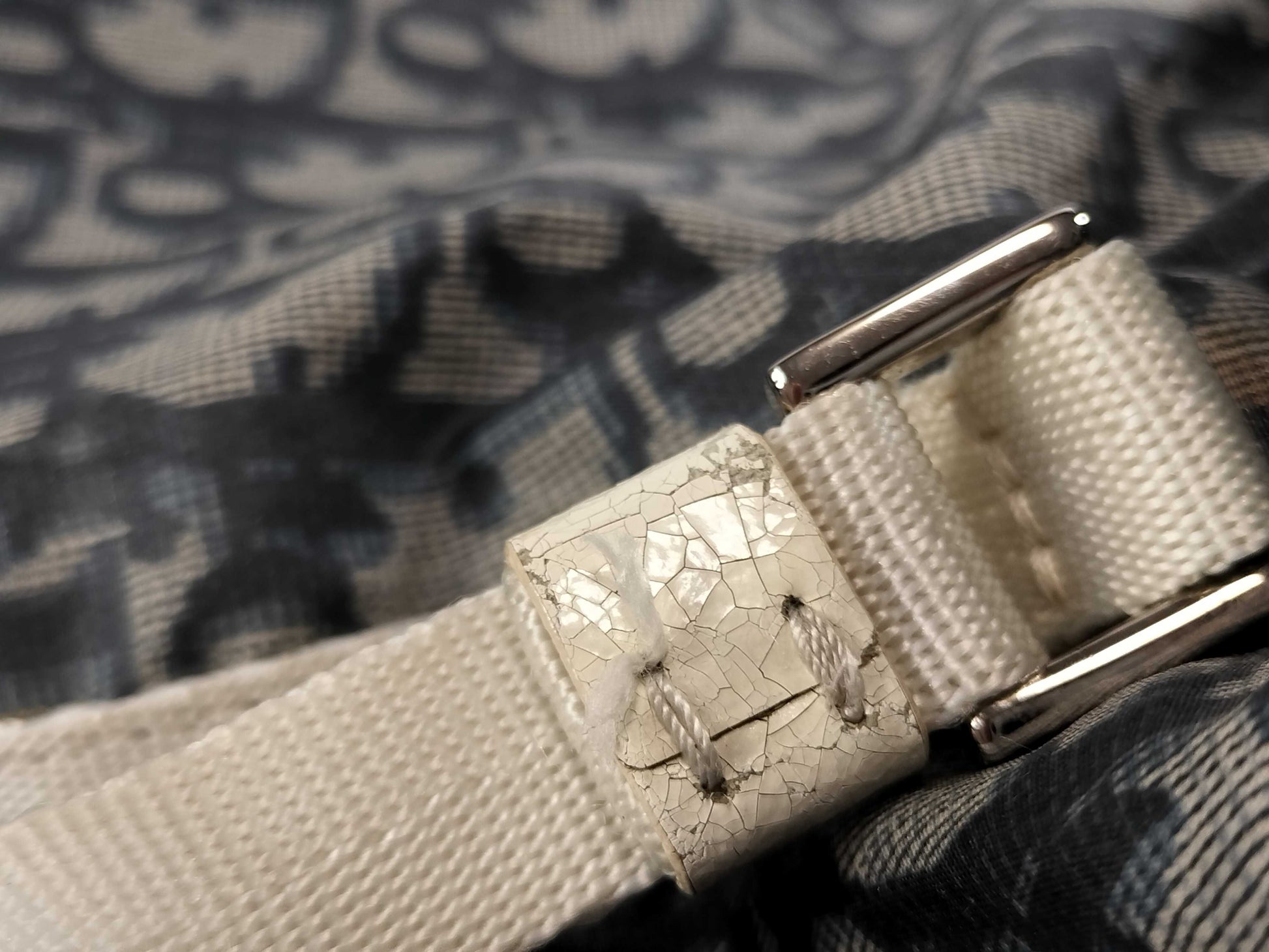 Dior Trotter Nylon Eco Tote Bag