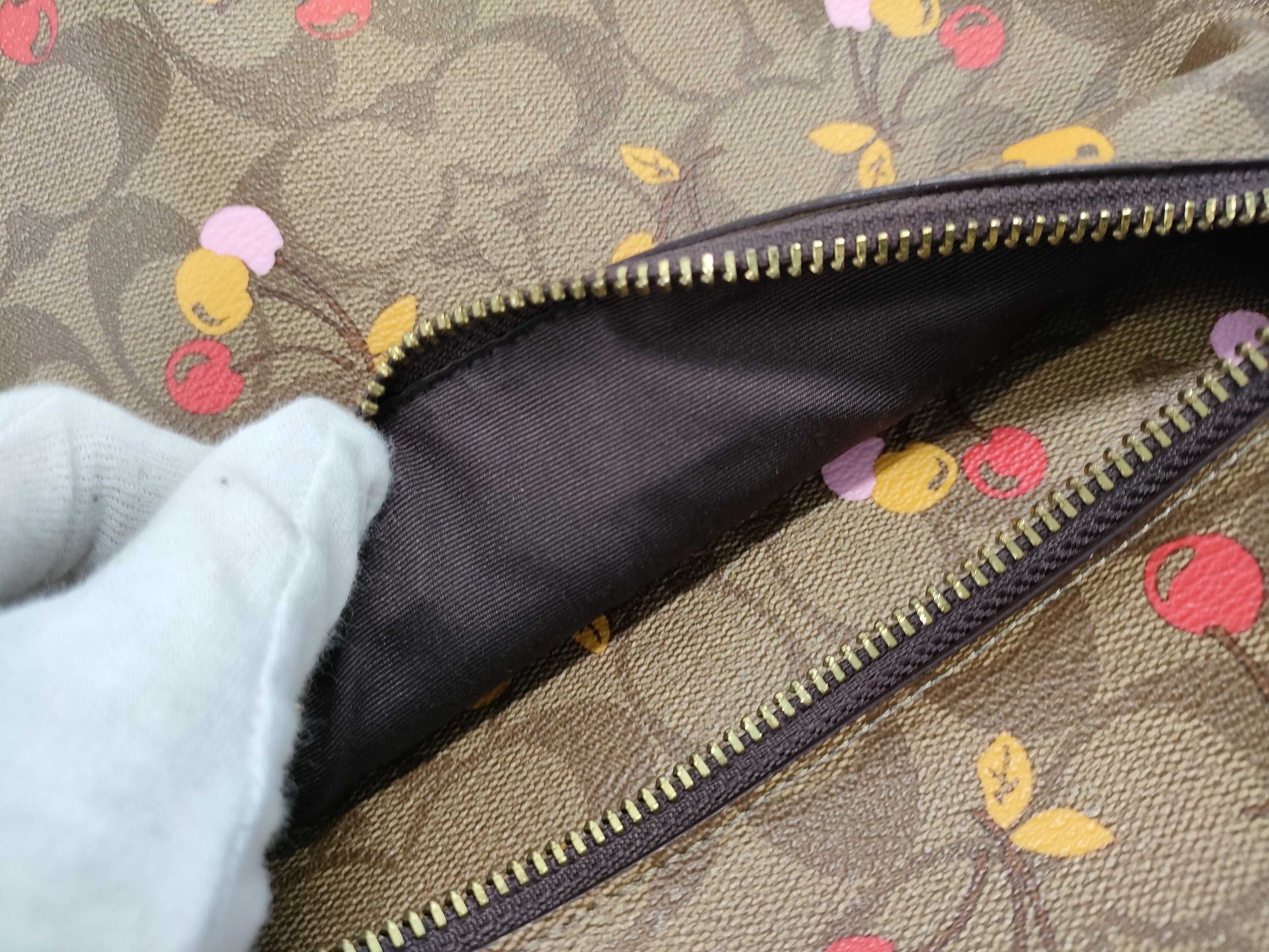 COACH Signature F31372 PVC and Leather Cherry Backpack