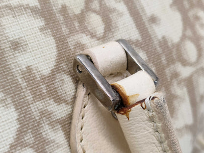 Dior Trotter Handbag Handbag