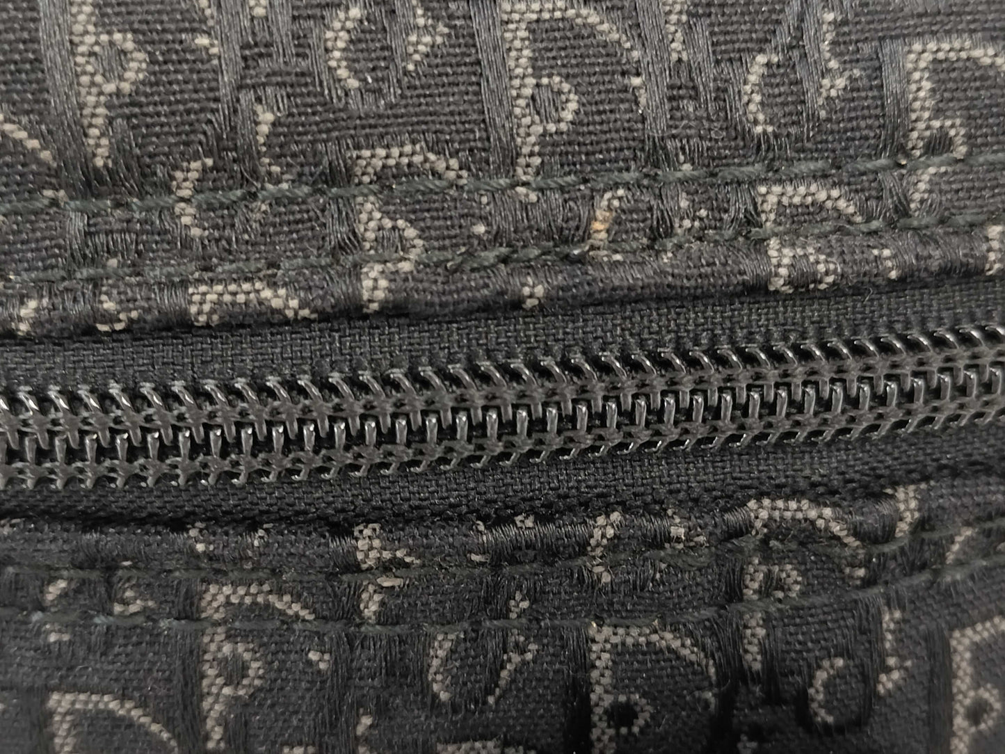 Dior Trotter Vanity Pouch