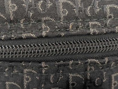 Dior Trotter Vanity Pouch
