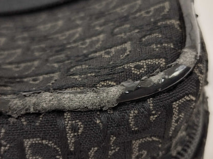 Dior Trotter Vanity Pouch