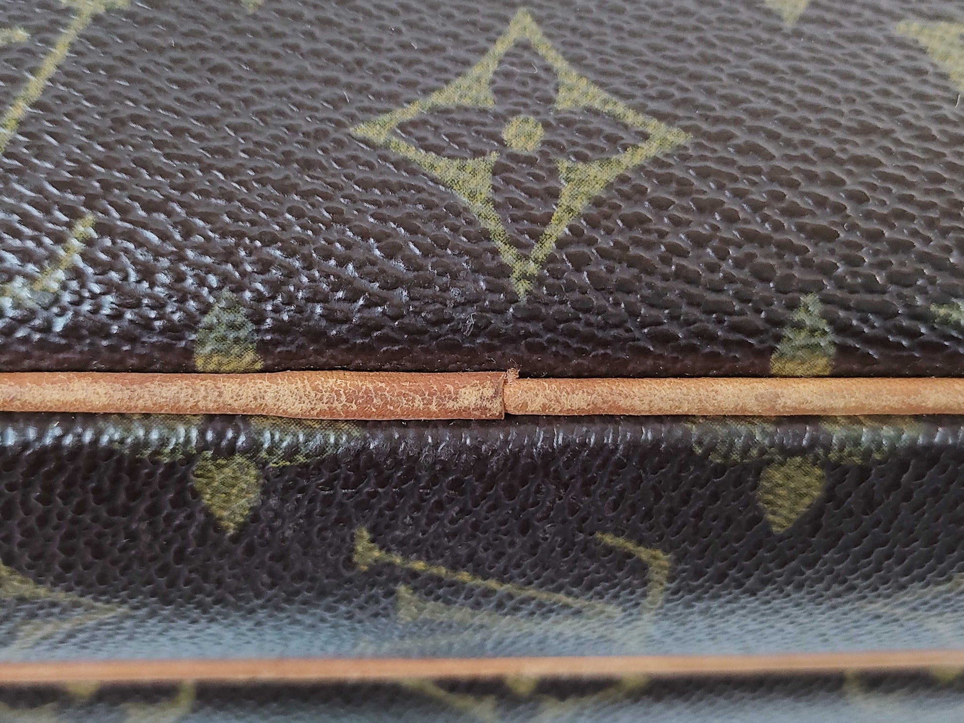 LOUIS VUITTON M45244 Monogram Nile Shoulder Bag