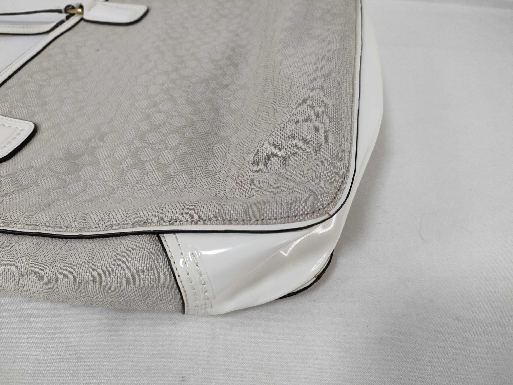COACH Mini Signature 25051 Shoulder Bag