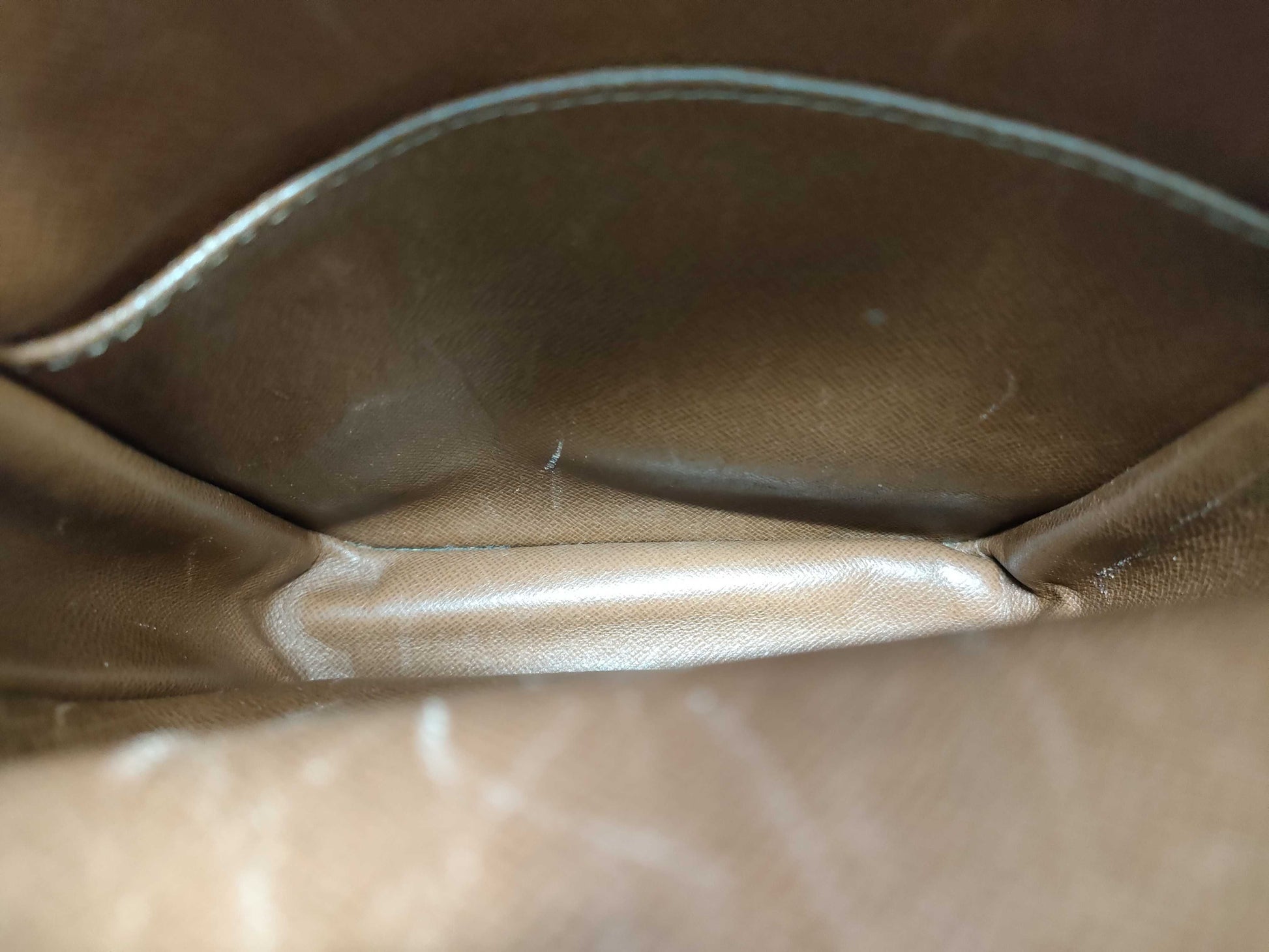 LOUIS VUITTON Monogram Amazon Shoulder Bag