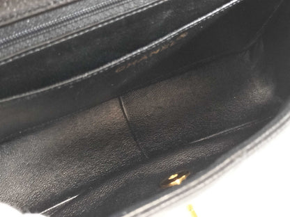 CHANEL Caviar Skin Diana Chain Shoulder Bag
