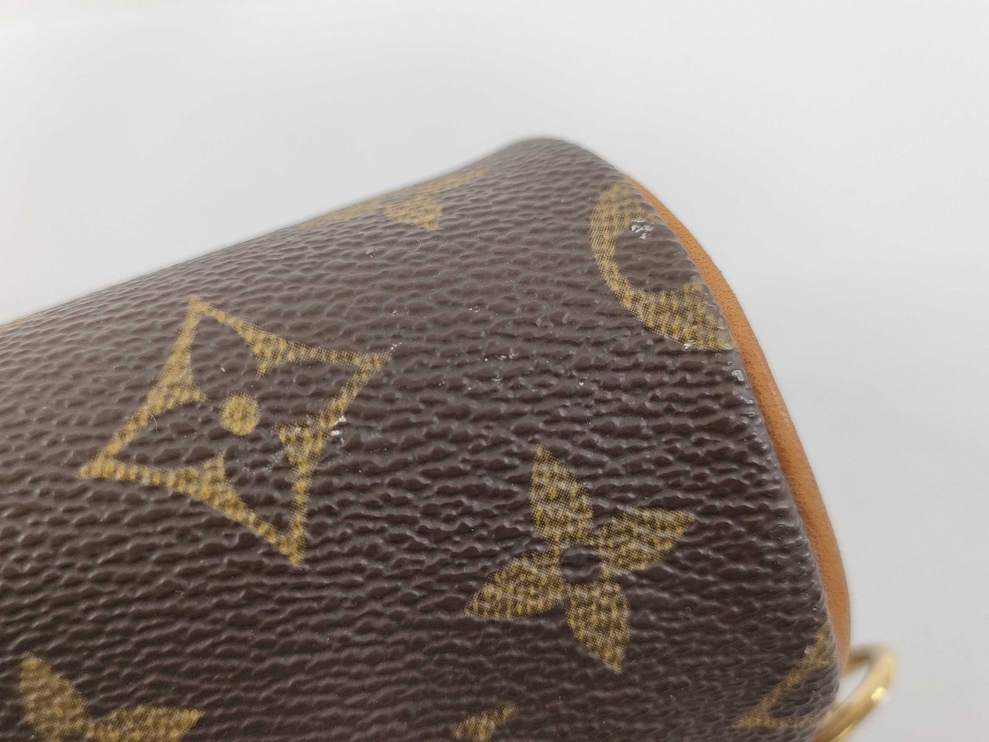 LOUIS VUITTON Monogram Papillon Pouch Pouch