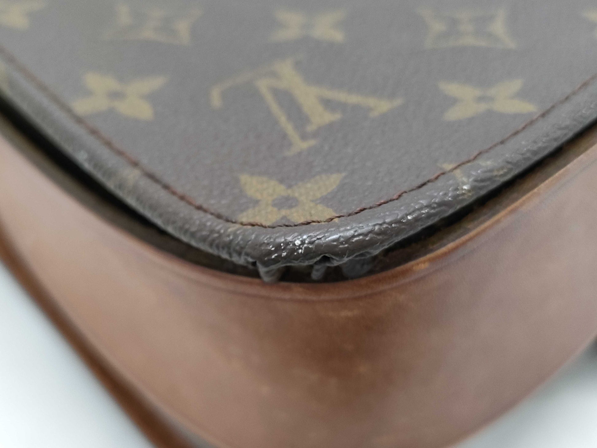LOUIS VUITTON Monogram Cartesiere Shoulder Bag