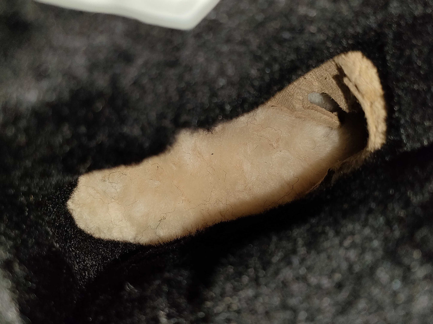 UGG sheepskin boots, unused, other shoes