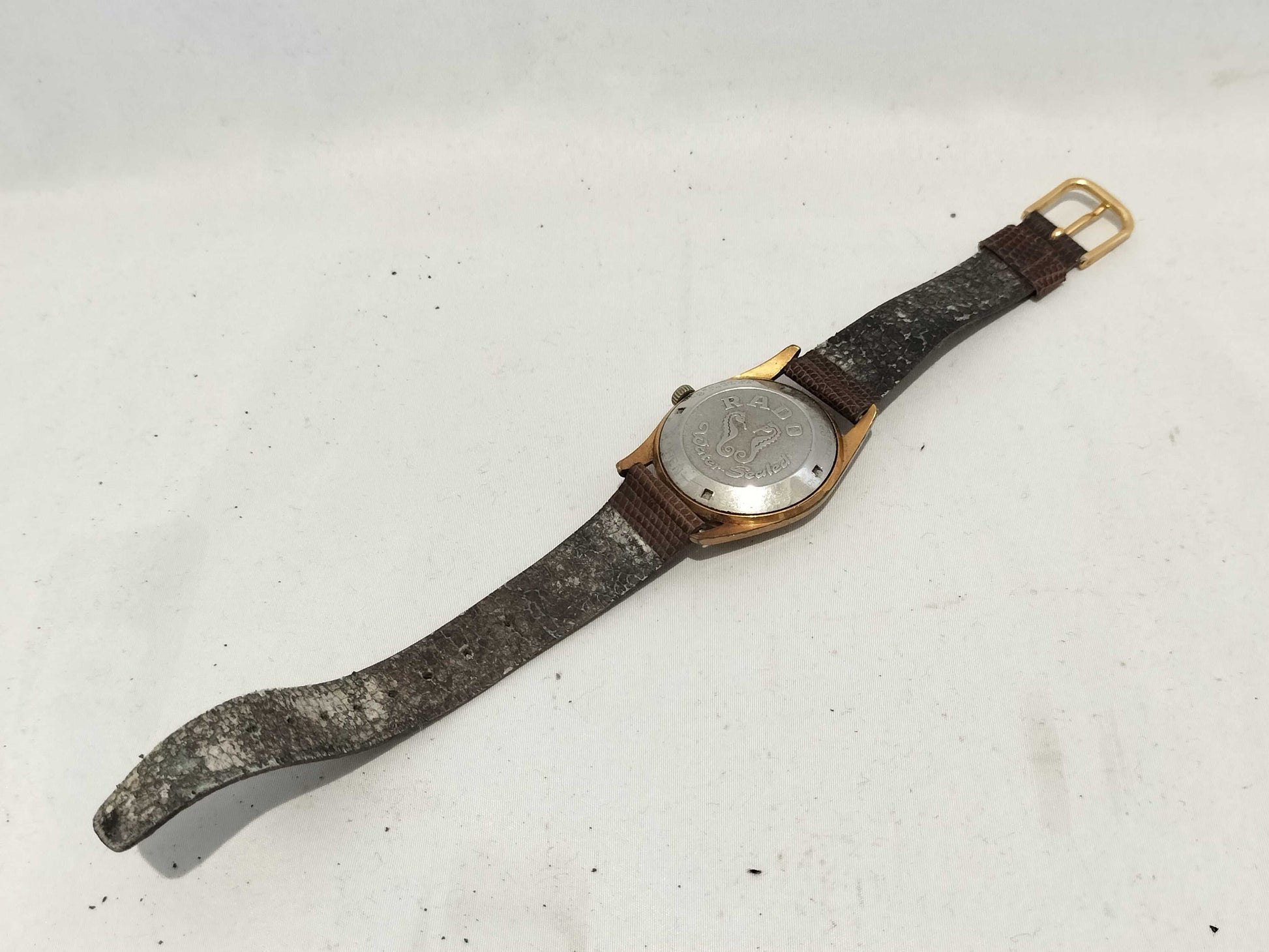 RADO 345602 Men's Watch