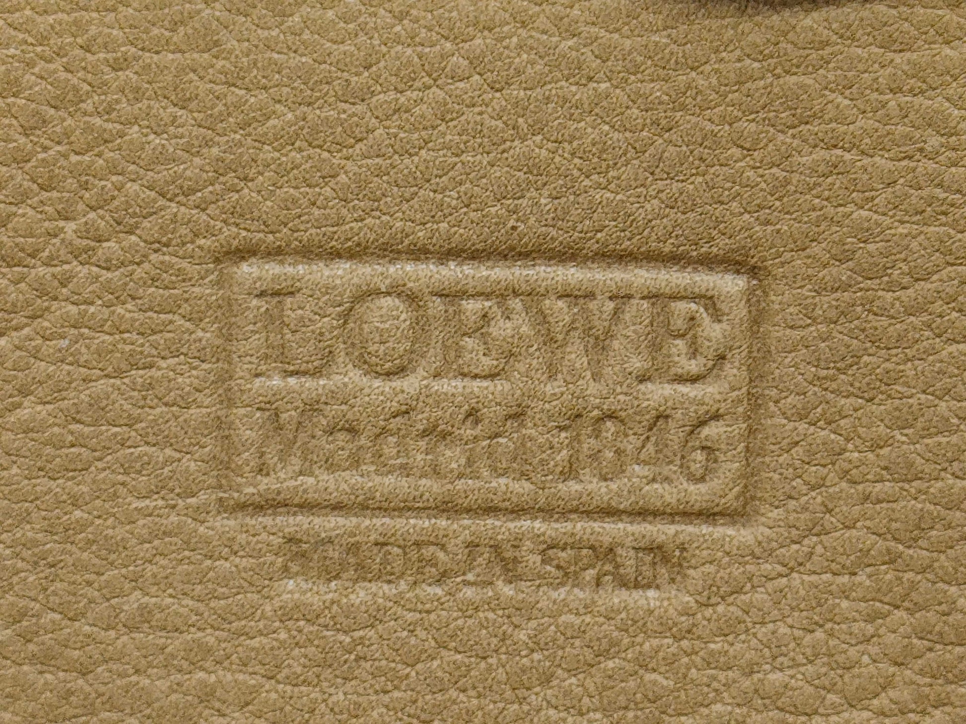 LOEWE Anagram Suede Pouch