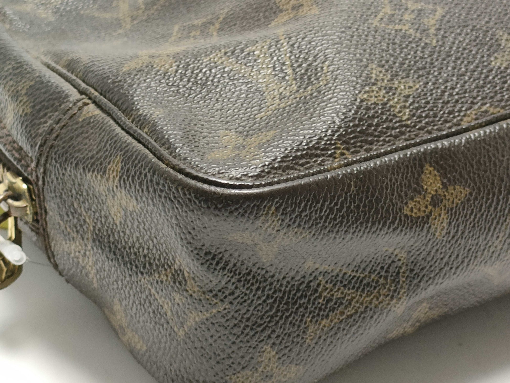 LOUIS VUITTON Monogram Truest Wallet Second Bag
