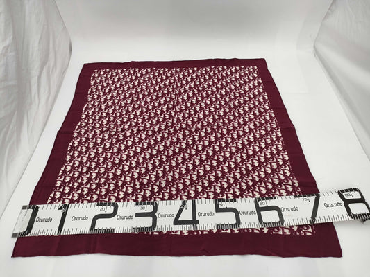 Dior Trotter Pattern Scarf 